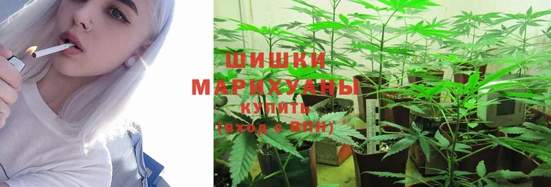 блэк спрут как зайти  Гудермес  МАРИХУАНА OG Kush 